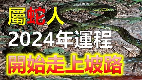 屬蛇今年幾歲|【蛇年份】屬蛇今年幾歲？2024蛇年年齡對照表！揭秘屬蛇神秘。